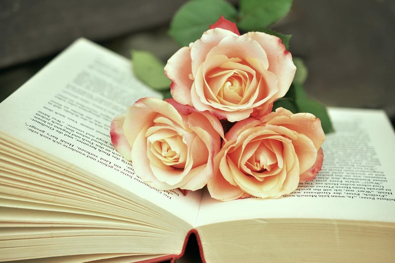 Book Page Art