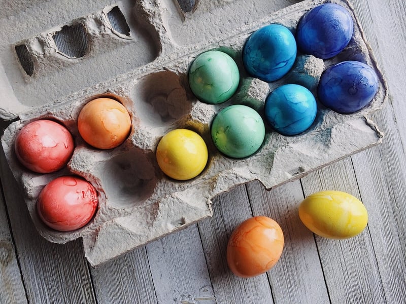 Egg Carton Bugs