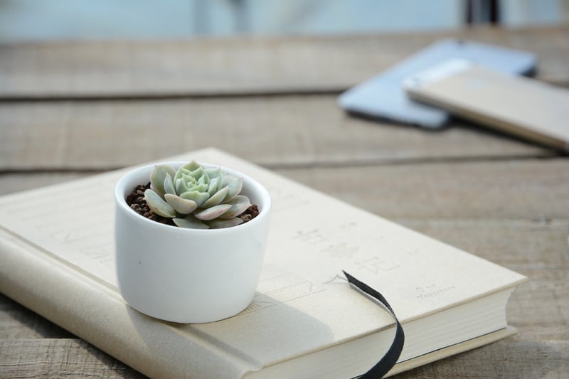 Customized Planters